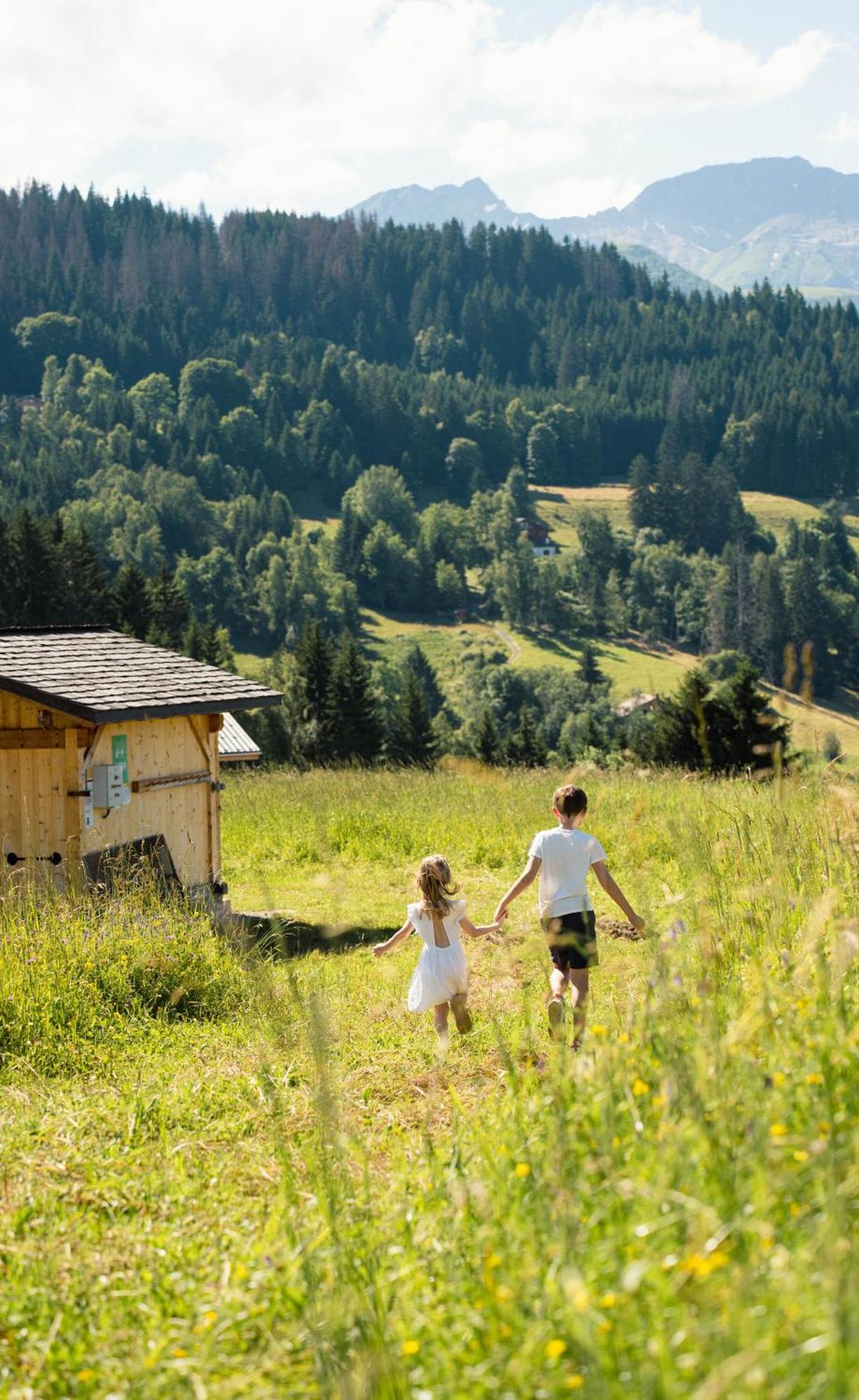 Chalet Alpen Valley, Mont-Blanc Combloux Bagian luar foto