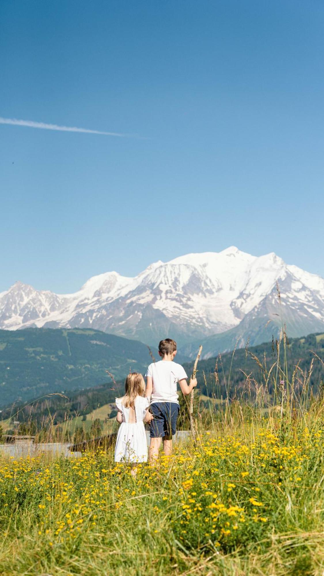 Chalet Alpen Valley, Mont-Blanc Combloux Bagian luar foto